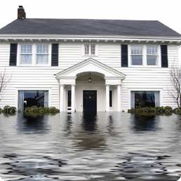 flood damage home insurance public adjusters