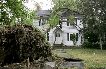 Windstorm Losses